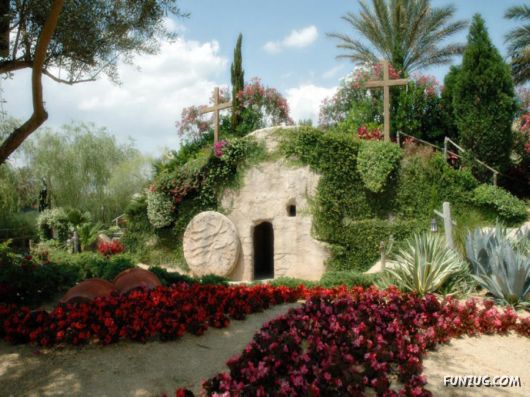 Amazing Floral Decorated Houses