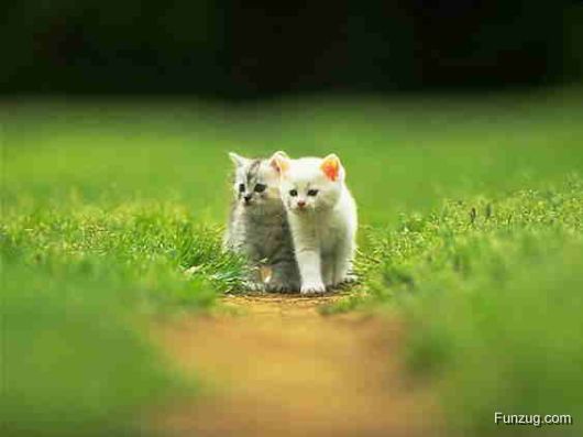 Say Hello to 2009 - First And Best Wishes