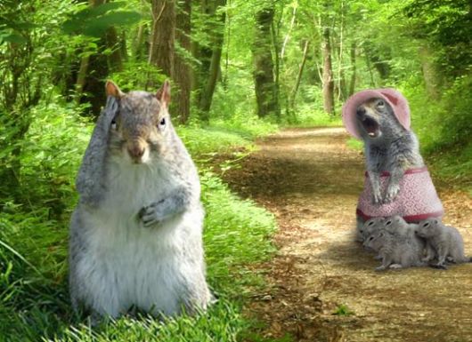 Incredible Imaginative Photos?