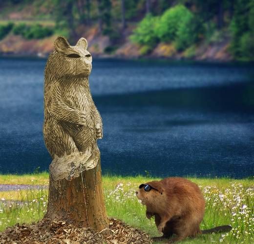 Incredible Imaginative Photos?