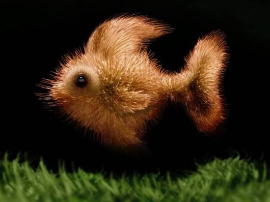 Incredible Imaginative Photos?