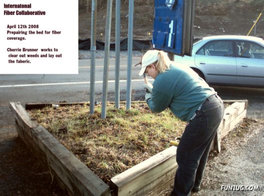 The International Fiber Collaborative