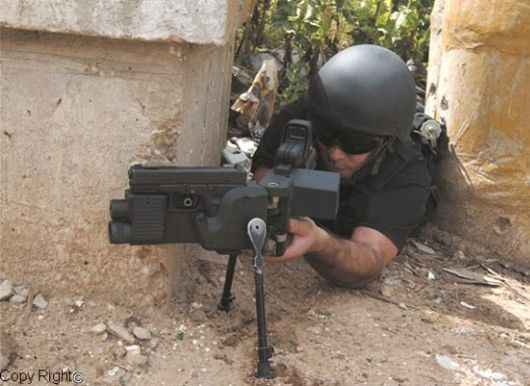 Killing Israeli Weapons