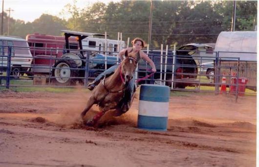 Amazing Horses Rodeo Show