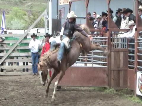 Amazing Horses Rodeo Show