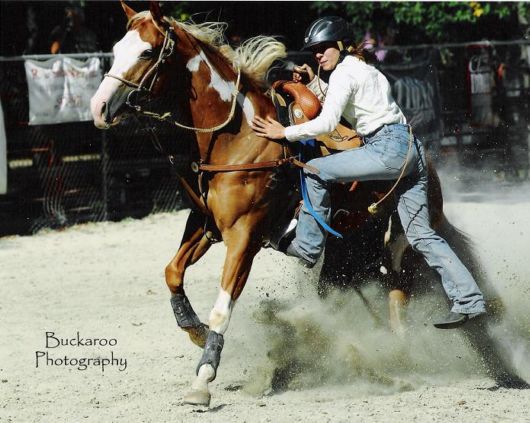 Amazing Horses Rodeo Show