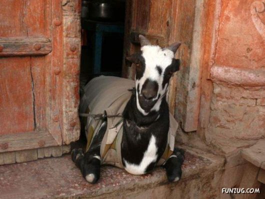 The Streets And People Of India