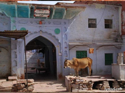 The Streets And People Of India