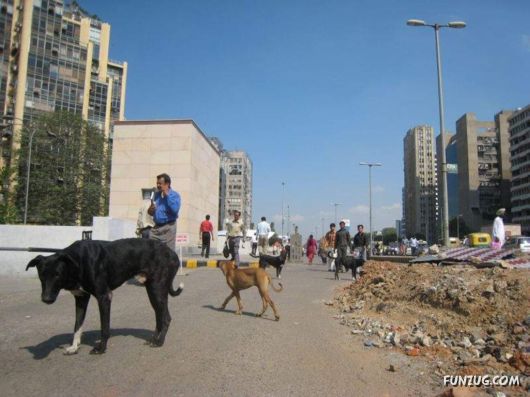 The Streets And People Of India