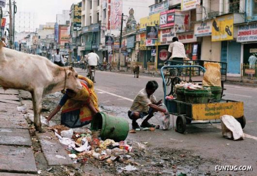 The Streets And People Of India