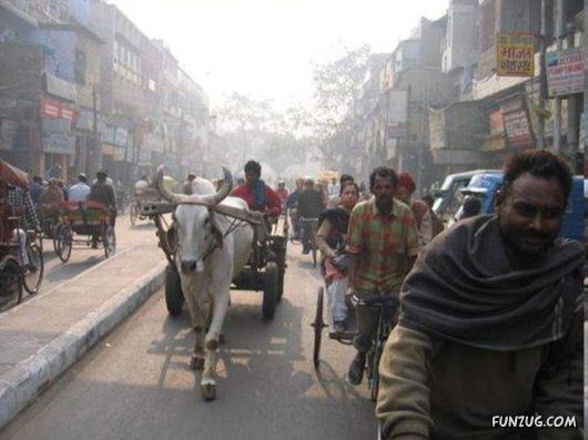 The Streets And People Of India