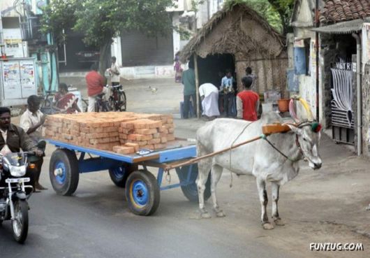 The Streets And People Of India