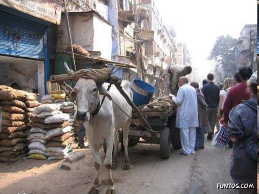 The Streets And People Of India