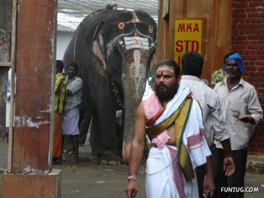 The Streets And People Of India