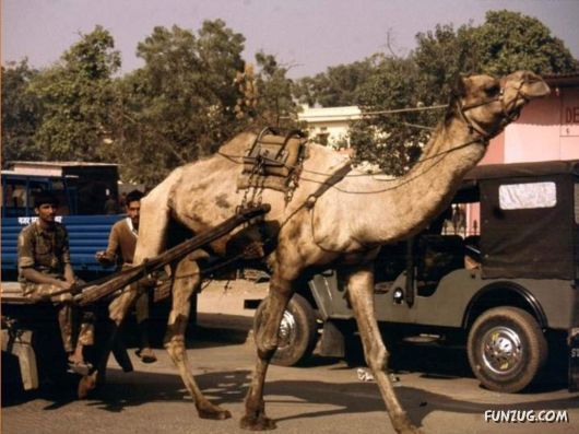 The Streets And People Of India