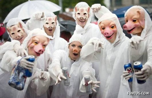 World Press Pictures Collection 2009