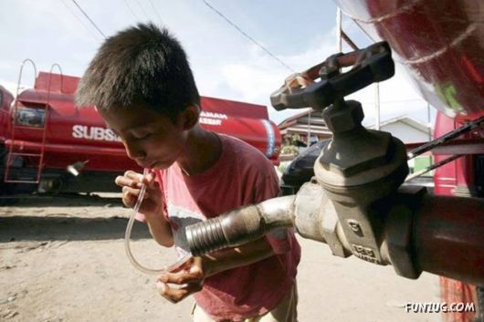 World Press Pictures Collection 2009