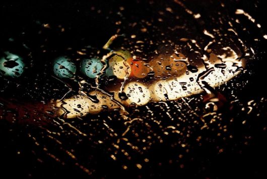 Beauty After The Rain