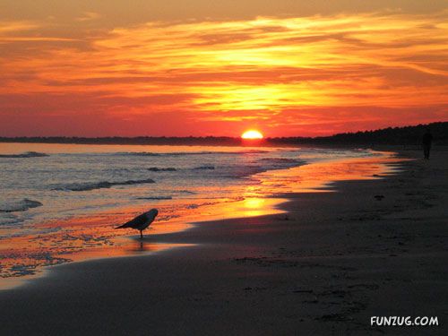 Beautiful Sunsets Photography