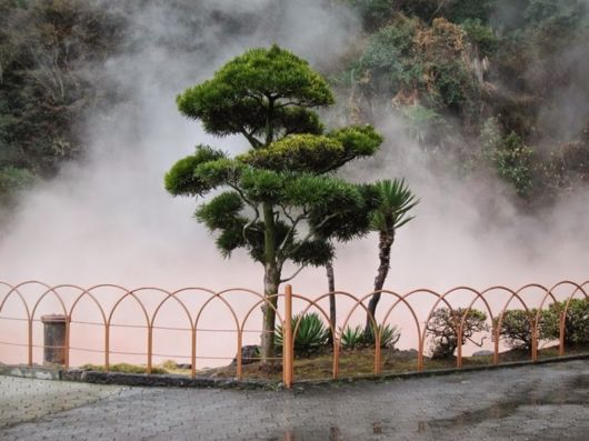 Bloody Pond Chinoike Jigoku In Japan
