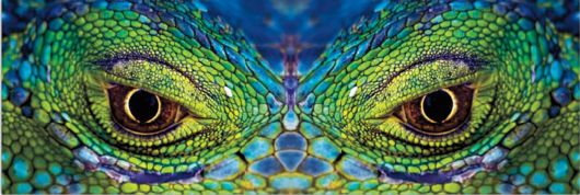 Nature Best Photo Awards