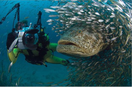 Nature Best Photo Awards