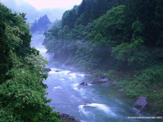 Exceptional Nature Photography