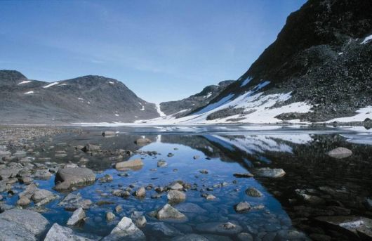 Exceptional Nature Photography