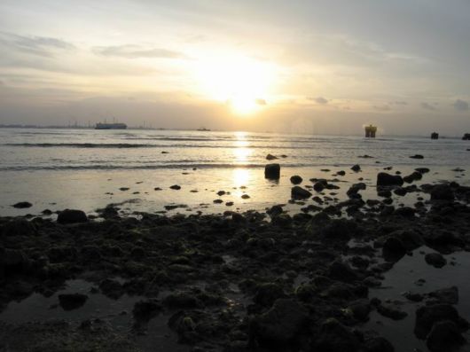 Exceptional Nature Photography