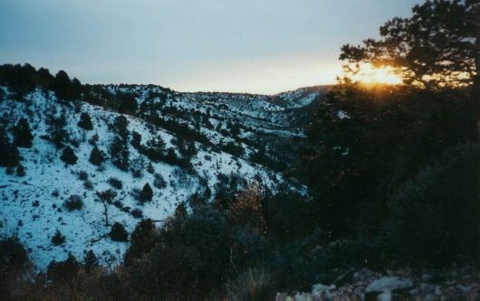 Exceptional Nature Photography