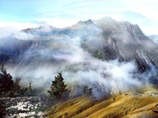 Exceptional Nature Photography