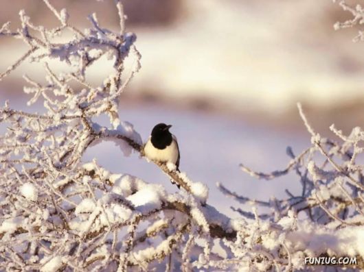 Amazing Faces of Nature