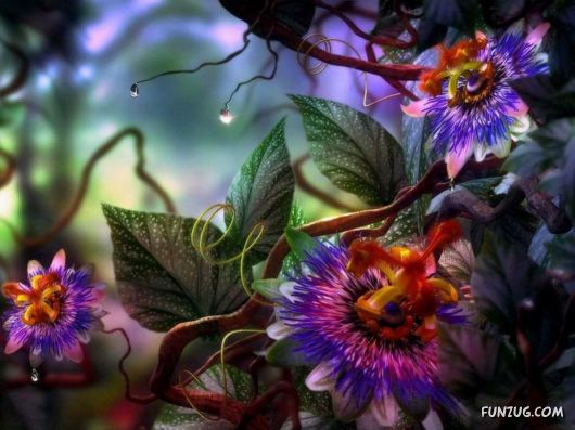 Beautiful Bunch of Flowers