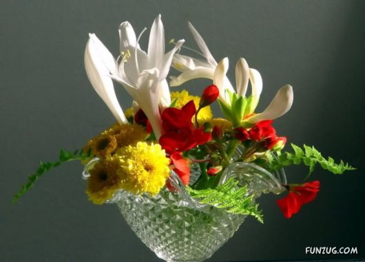 Beautiful Bunch of Flowers