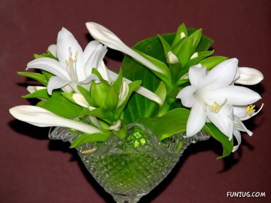 Beautiful Bunch of Flowers