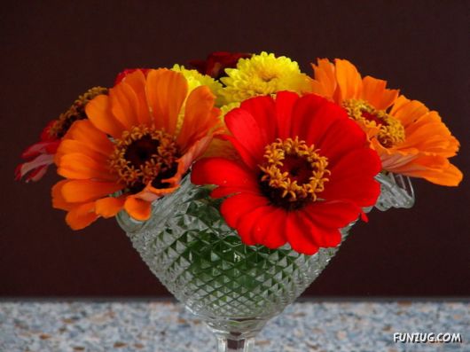 Beautiful Bunch of Flowers