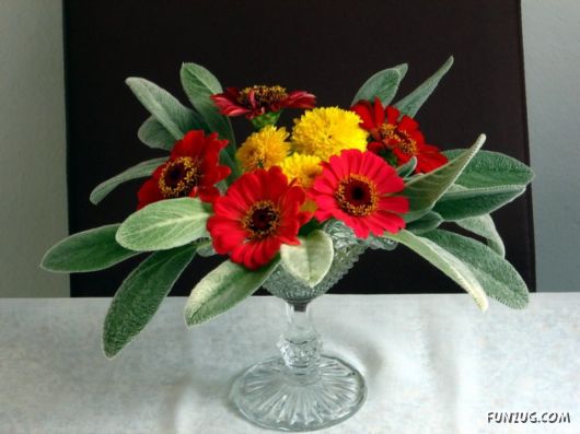 Beautiful Bunch of Flowers