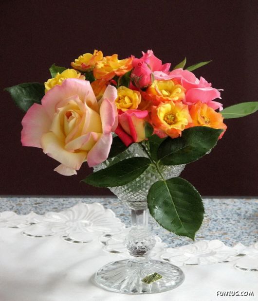 Beautiful Bunch of Flowers