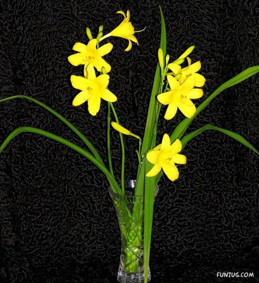 Beautiful Bunch of Flowers