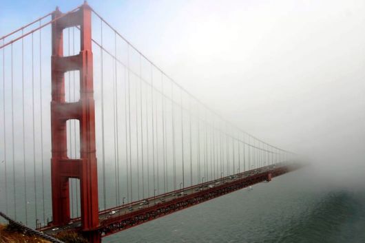 Amazing Foggy Nature Pictures