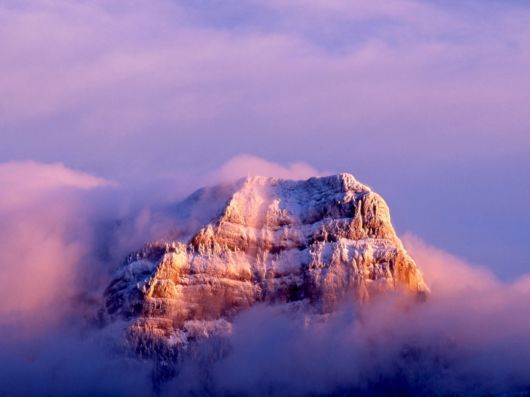 Amazing Foggy Nature Pictures