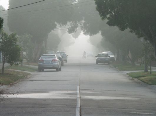Amazing Foggy Nature Pictures