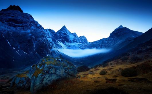 Amazing Foggy Nature Pictures