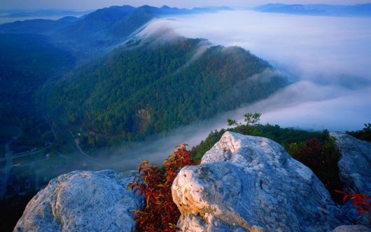 Amazing Foggy Nature Pictures