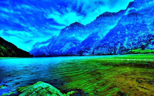 Amazing Foggy Nature Pictures