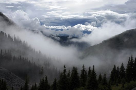 Amazing Foggy Nature Pictures