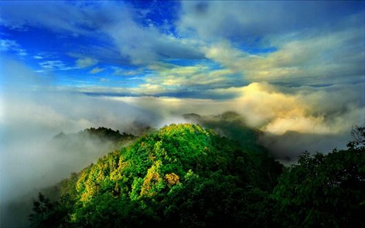 Amazing Foggy Nature Pictures