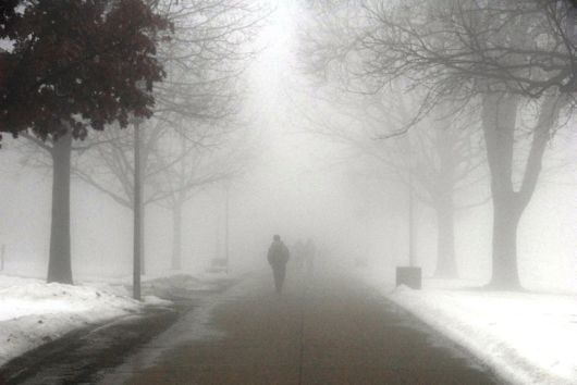 Amazing Foggy Nature Pictures