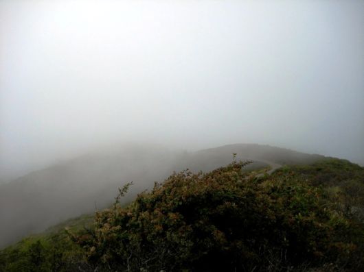 Amazing Foggy Nature Pictures