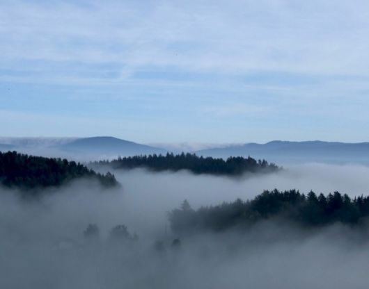 Amazing Foggy Nature Pictures
